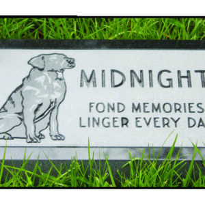 Sandblasted Pet Marker