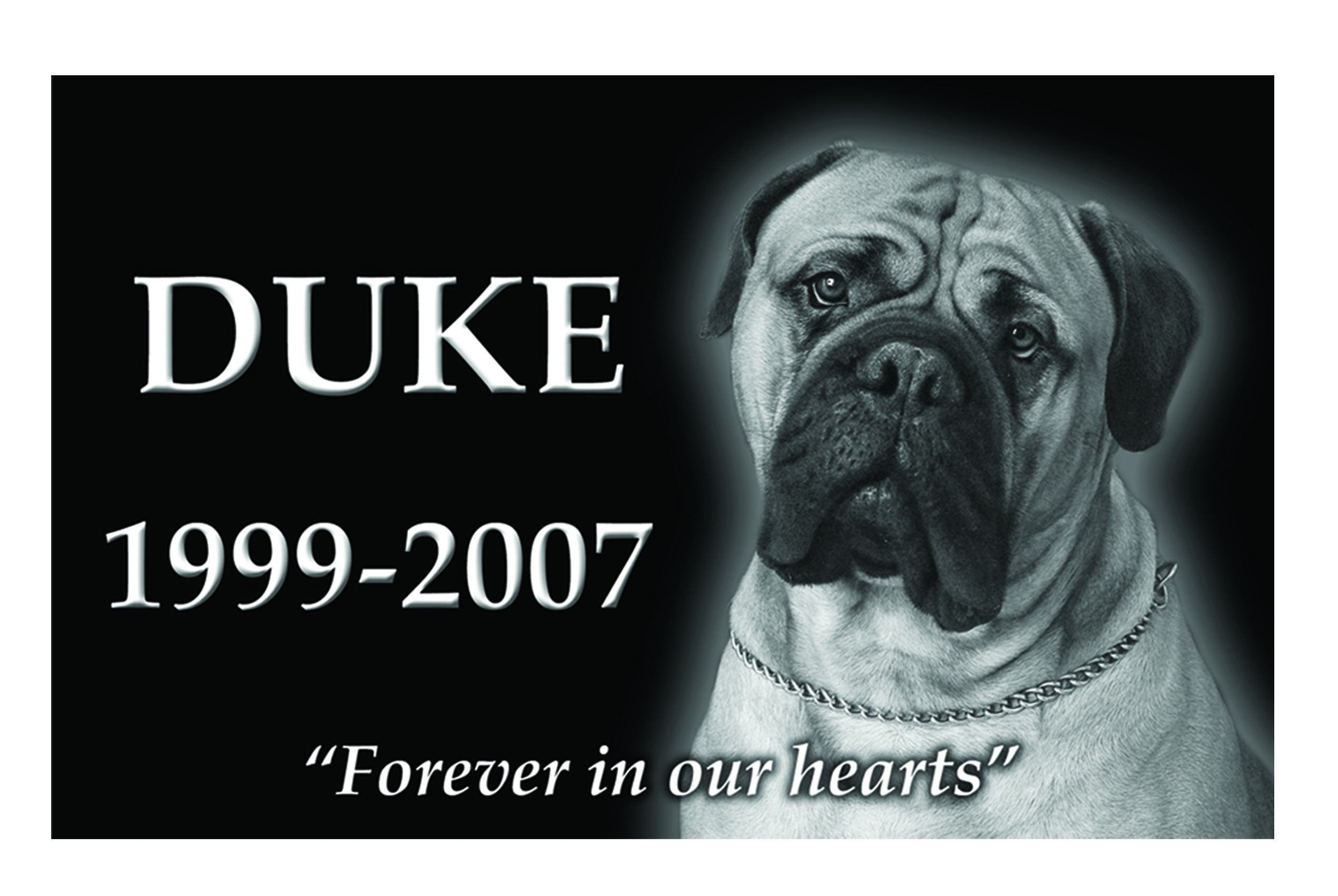 Laser Etched Pet Markers