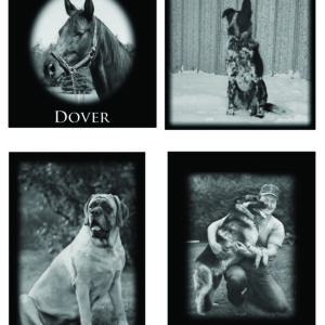 Laser Etched Tiles