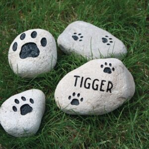 River Rocks